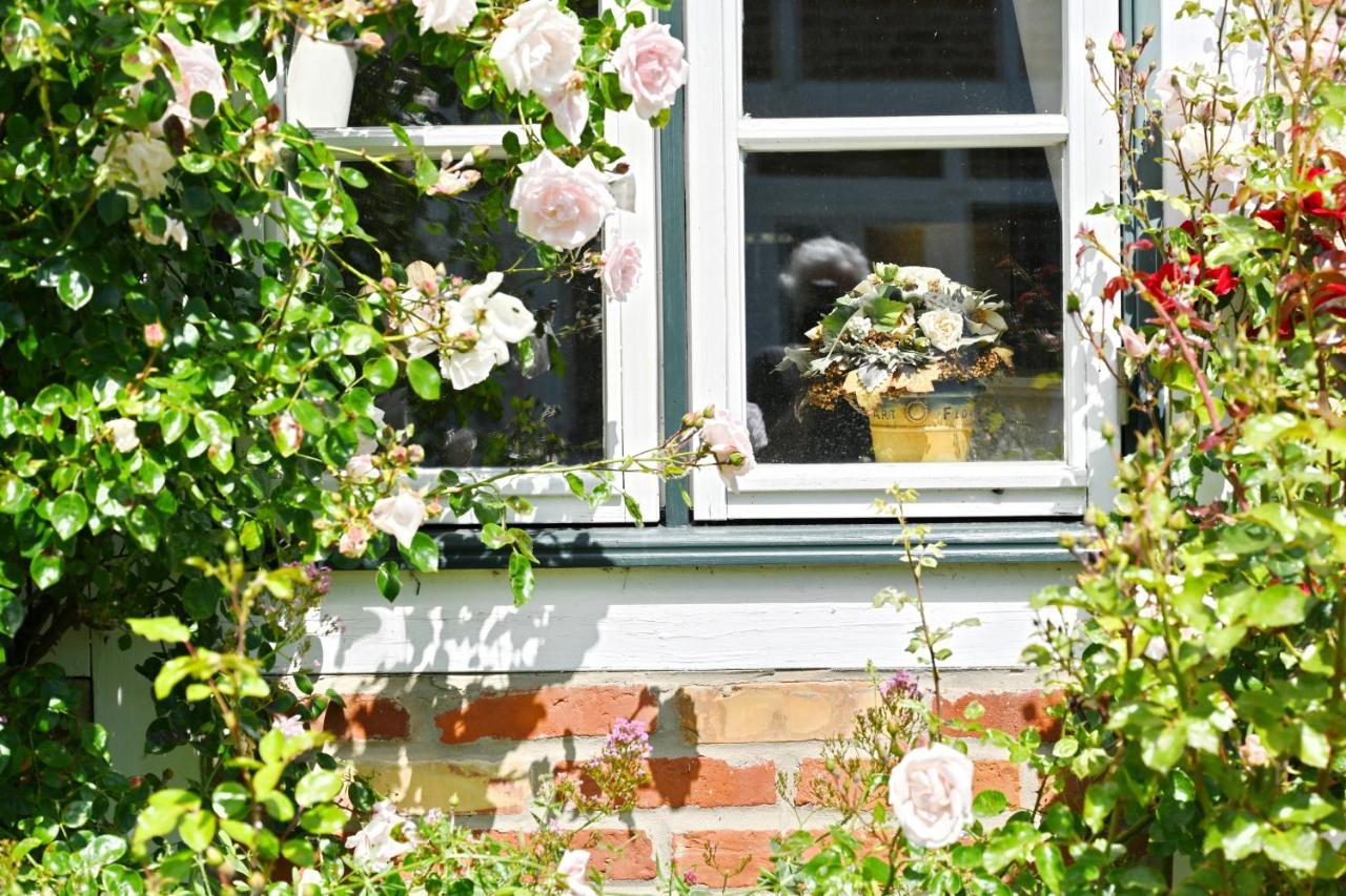 Landhaus Vilmnitz - Wohnung 10 Exterior photo